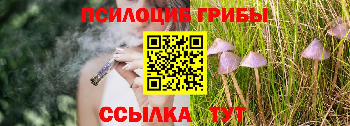 Котовск  Галлюциногенные грибы Psilocybe  Вход с VPN 