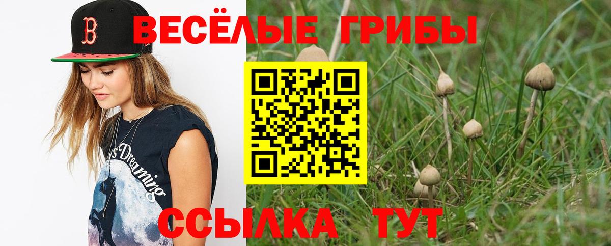 Галлюциногенные грибы MAGIC MUSHROOMS Котовск